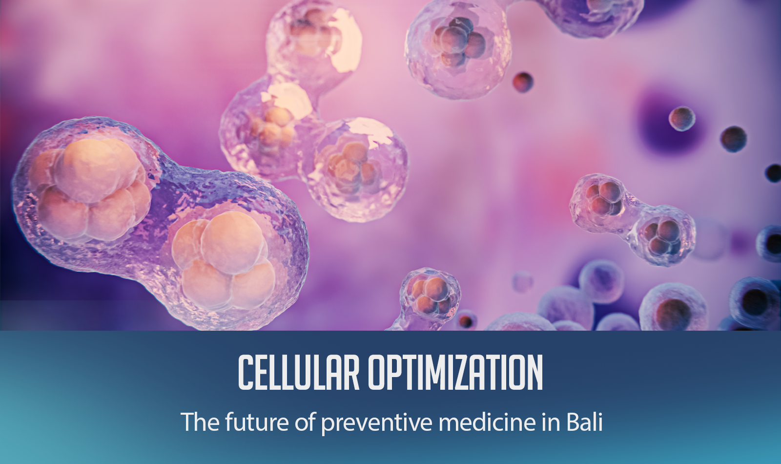 Cellular Optimization: The future of preventive medicine in Bali